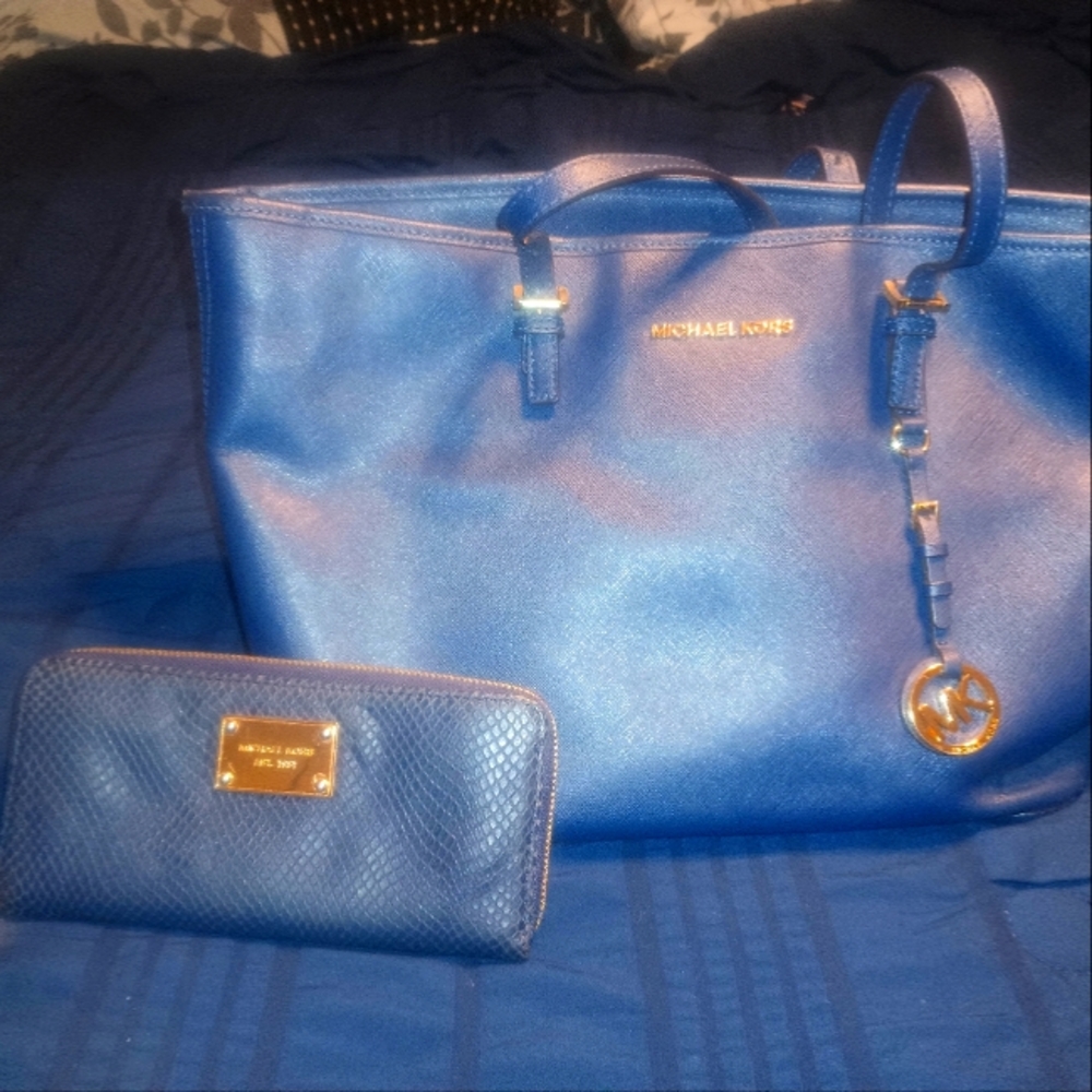 Blue MK Purse and Wallet